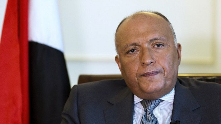 شكري يدعو إلى "نهج جماعي ودولي" لمواجهة المتطرفين في سورية والعراق