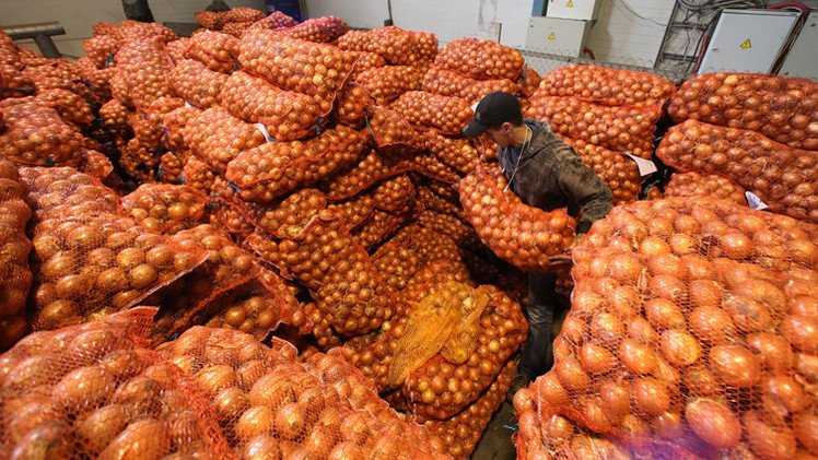حظر المنتجات الزراعية الأوكرانية في روسيا يدخل حيز التنفيذ