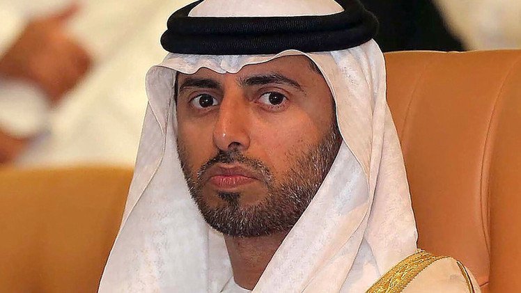 الإمارات: أوبك لا تستطيع الاستمرار في حماية أسعار النفط
