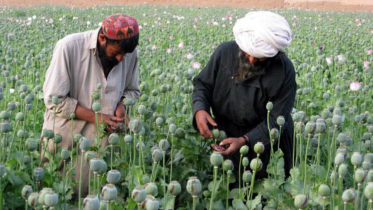 إيفانوف: تهريب المخدرات عبر "الطريق الشمالي" سيزيد مع اتساع نشاط "داعش" 