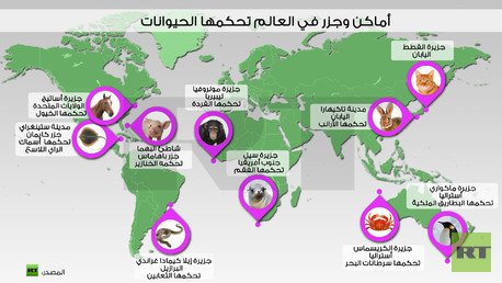إنفوجرافيك: أماكن وجزر في العالم تحكمها الحيوانات