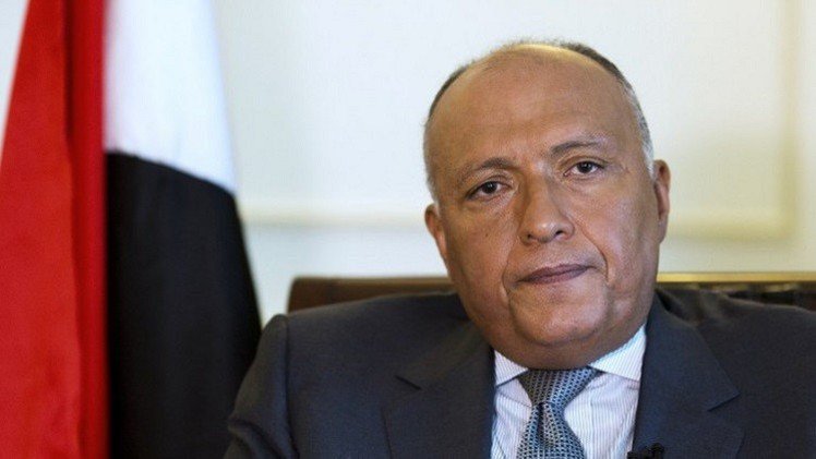 شكري: العملية الروسية تهدف إلى توجيه ضربة قاصمة لداعش