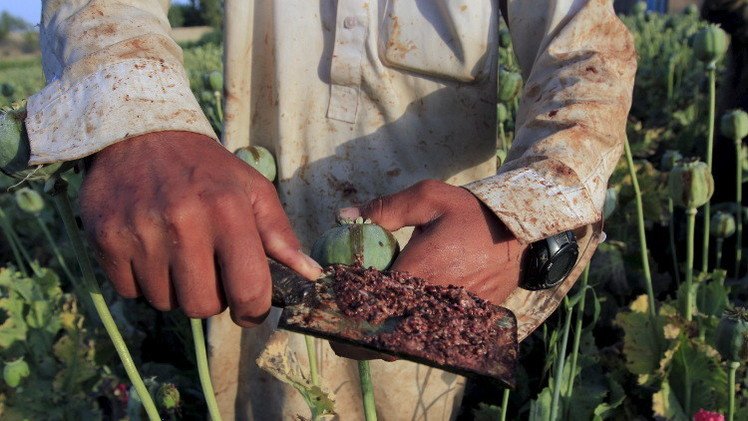 موسكو: مليارات مافيا المخدرات سببت ظهور "داعش" 