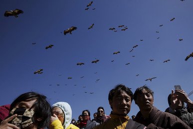 نسور وغربان تتهافت على جثث الموتى في مقبرة مكشوفة
