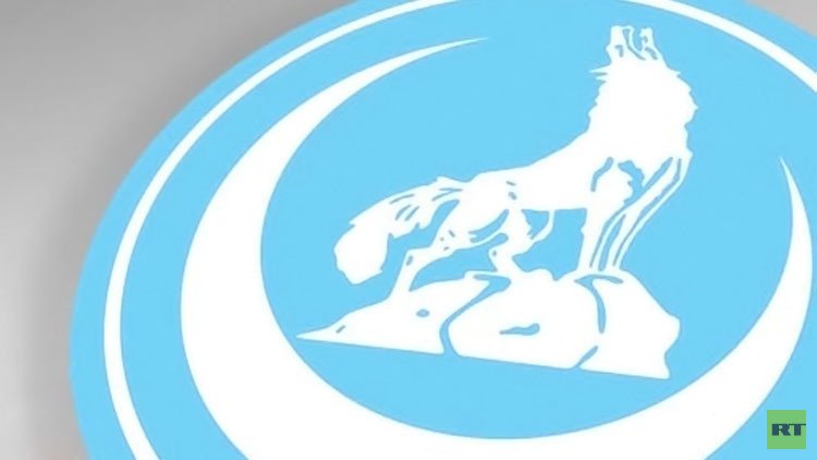 تركيا تستعين بـ"ذئابها الرمادية" ضد روسيا