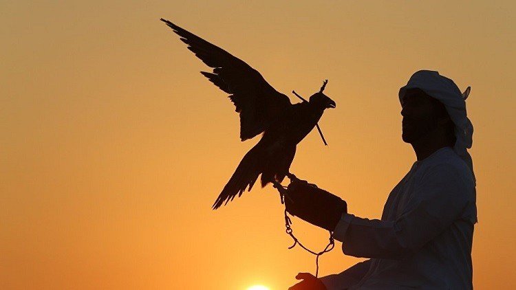 الإفراج عن 9 قطريين من أصل 26 مختطفين في العراق