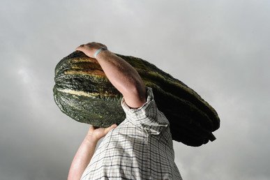 صاحب مزرعة يحمل كوساية عملاقة