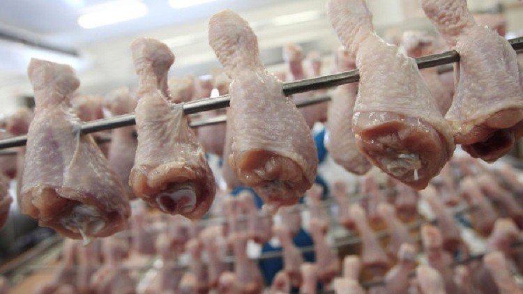 العراق يمنع استيراد الطيور من 24 دولة 
