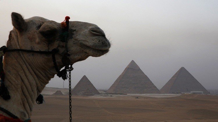 أحجية فرعونية استعصت لأكثر من قرن!