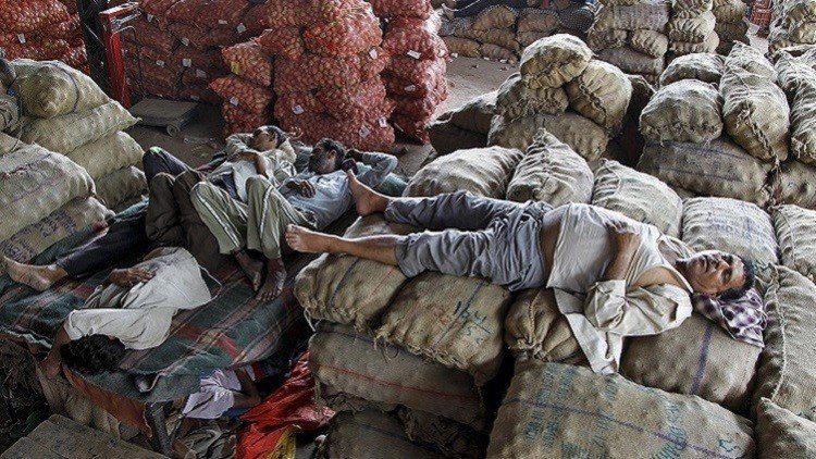 أكثر من 220 شخصا ضحايا الجفاف في الهند