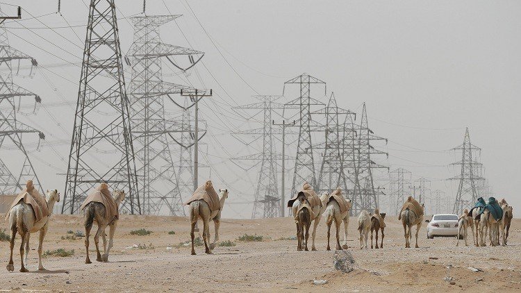 السعودية.. جمل يقتل امرأه وطفلة ويجرح آخرين