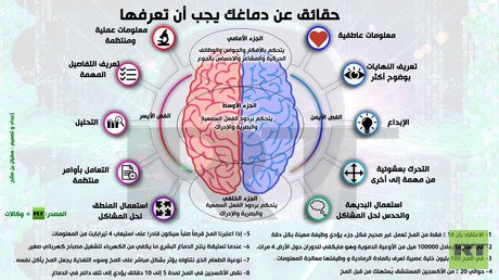 إنفوجرافيك: حقائق عن دماغك يجب أن تعرفها 