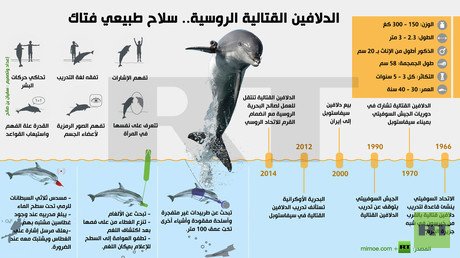إنفوجرافيك: الدلافين القتالية الروسية.. سلاح طبيعي فتاك
