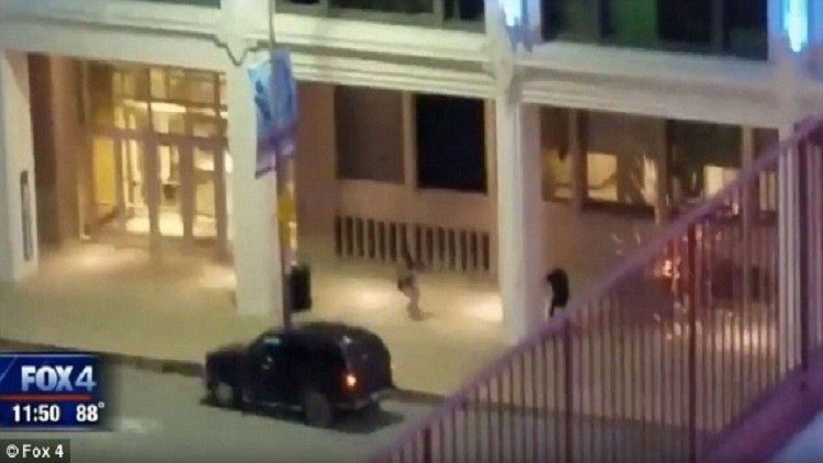 بالفيديو.. لحظة مقتل شرطي في دالاس