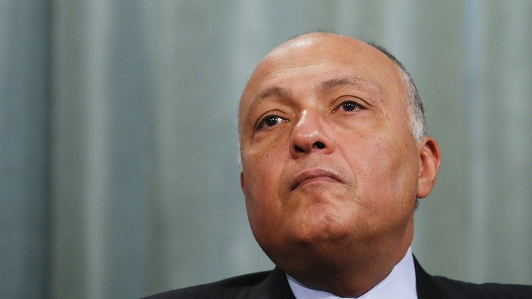 شكري يدعو دي ميستورا لاستئناف المفاوضات بين السوريين
