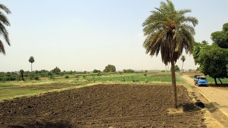 السودان يقدم أراض مجانية للمستثمرين السعوديين