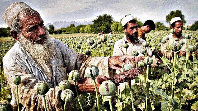 "وكالة الاستخبارات المركزية تمول بعض عملياتها من تهريب المخدرات الأفغانية" 