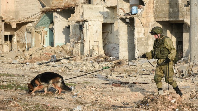 افتتاح مركز تدريب روسي في حلب لإعداد قوات الهندسة السورية
