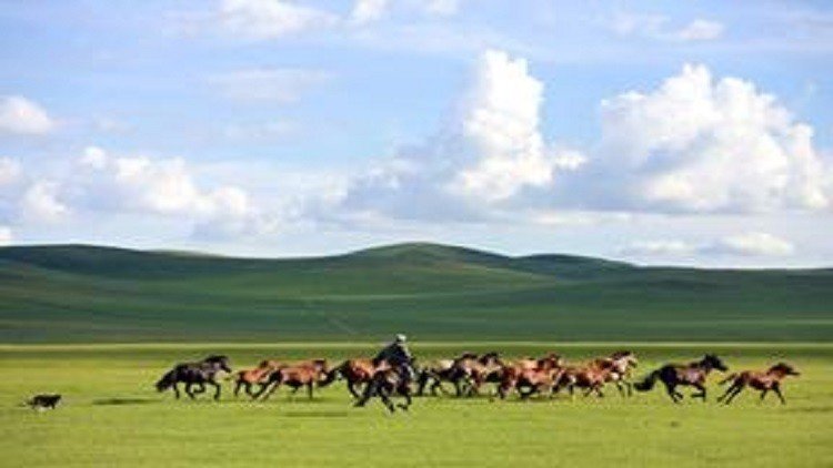  الخيول المنغولية لسداد المديونية  