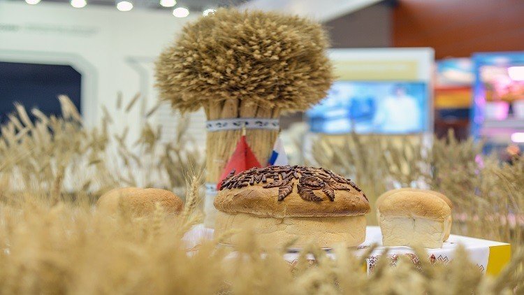 طهران تدرس رفع الحظر عن القمح الروسي
