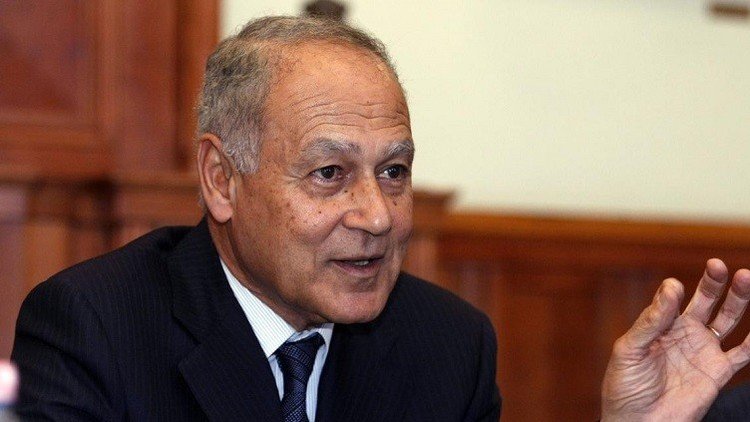 أبو الغيط يدعو الدول العربية "للتدخل الناجع" في سوريا