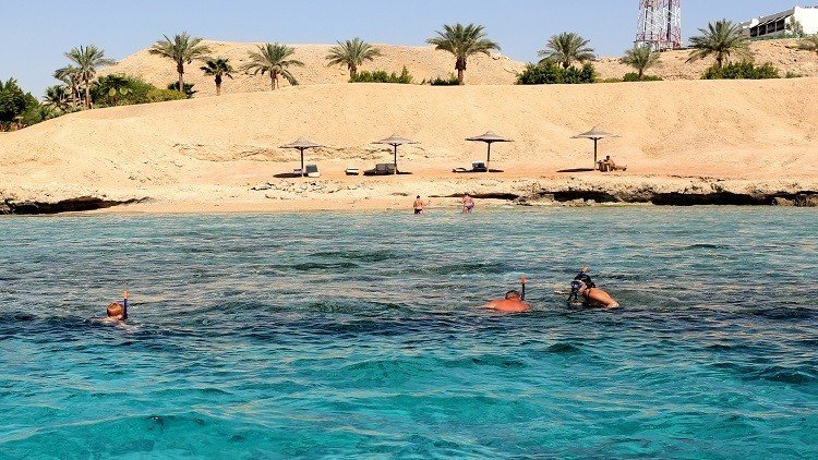 تحذير بلجيكي بشأن شبه جزيرة سيناء