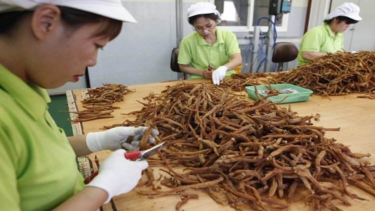 تحول في الاستراتيجية الاقتصادية لكوريا الشمالية 