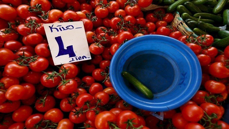 بسبب الحظر الروسي على الطماطم الأتراك  يزرعون الكرنب