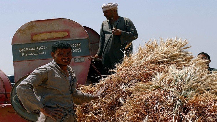 الاقتصاد المصري ينمو 3.9% في الربع الأول من 2017