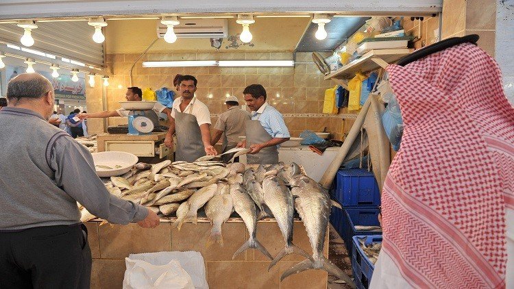 وفد سعودي في مصر للتأكد من سلامة الأسماك الموردة للمملكة