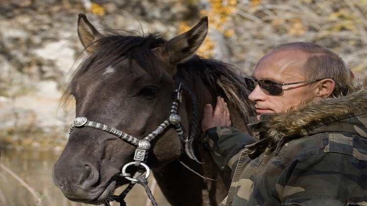 انطلاق سباق الخيول لجائزة الرئيس الروسي