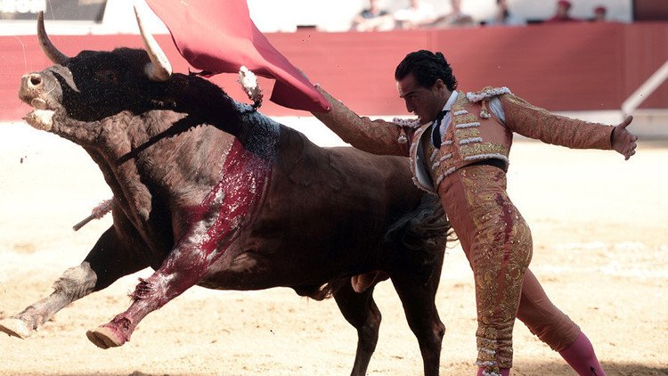 مقتل مصارع ثيران إسباني.. تعثّر فلقي مصرعه