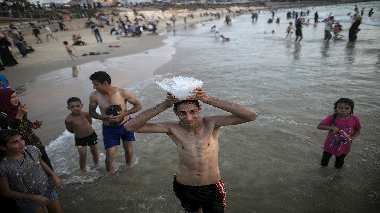 قناديل البحر.. كابوس يهدد قطاع السياحة المصري!