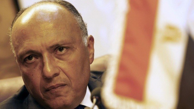  سامح شكري في باريس لبحث جملة من الملفات الإقليمية