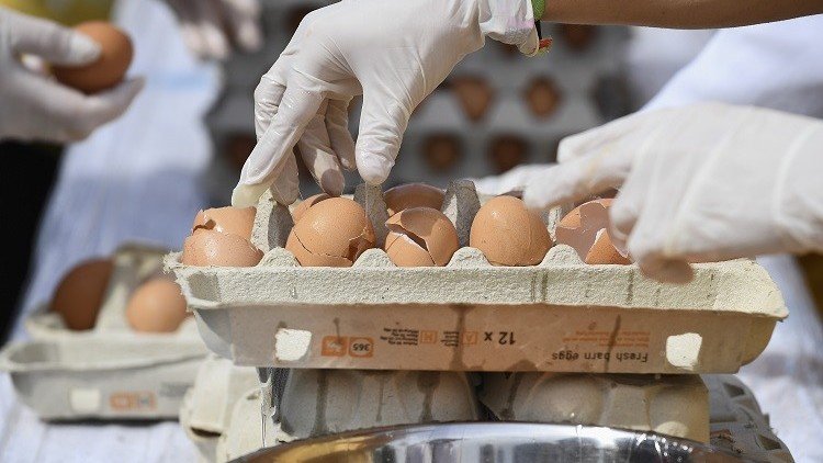 فضيحة البيض الملوث تطال إيطاليا!