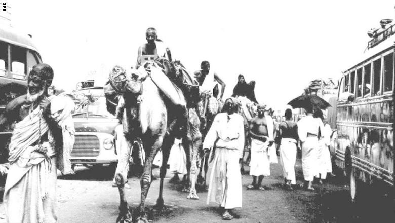 من وسائل السفر للحج قديما ركوب النوق