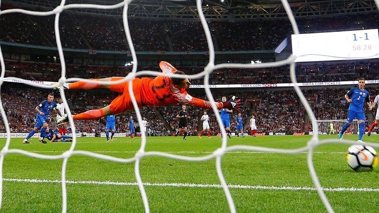 بالفيديو.. الأسود الثلاثة على مشارف روسيا