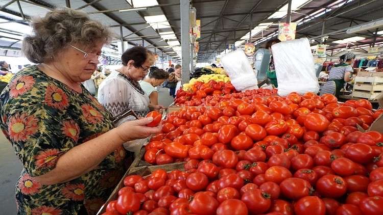 روسيا تضع شرطا لاستيراد الطماطم التركية