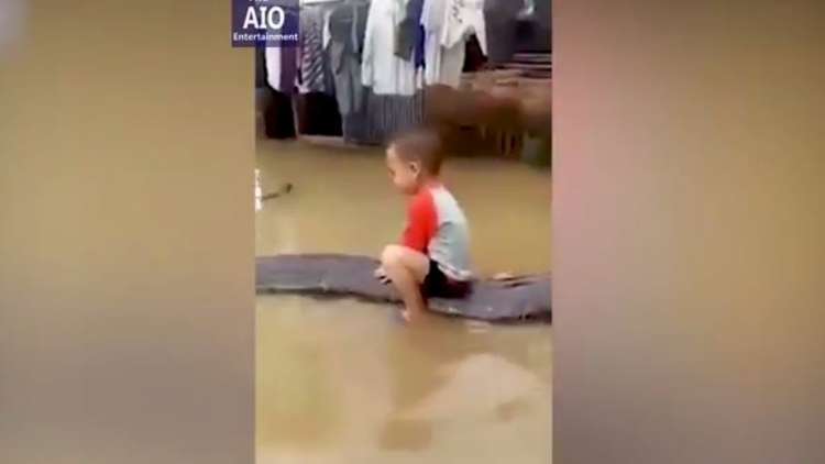 صبي عمره 3 سنوات امتطى ثعبانا طوله 6 أمتار