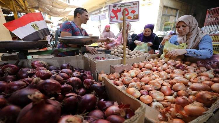 دول خليجية ترفع الحظر عن المنتجات الزراعية المصرية