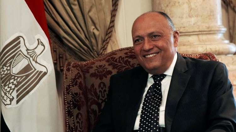 وزير الخارجية المصري يعلق على زيارة رئيس وزراء قطر إلى إثيوبيا