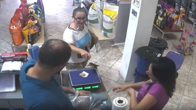 طائر جريء يسرق أوراقا نقدية في وضح النهار بالبرازيل!