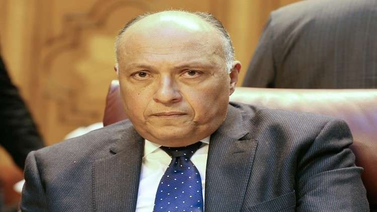 وزير الخارجية المصري يرد على تسريبات "نيويورك تايمز"