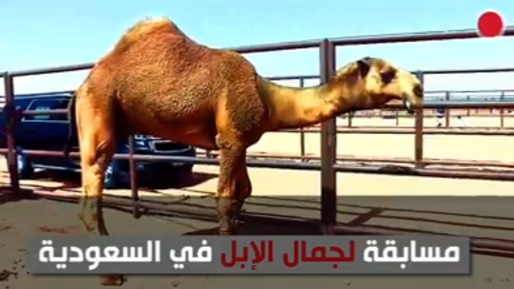 عمليات تجميل للجمال!!
