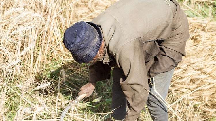 مصر ترشد استهلاك المياه بـ900 مليار جنيه