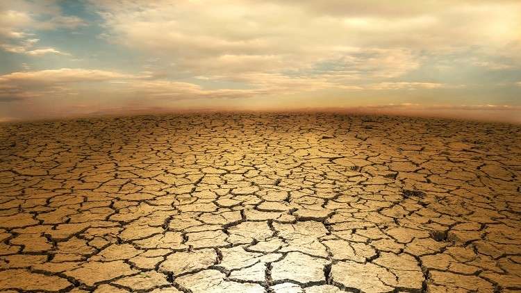 التغير المناخي مهد الطريق لظهور أنواع جديدة من الثدييات