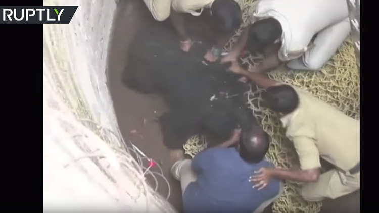 إنقاذ دبين من بئر عميق