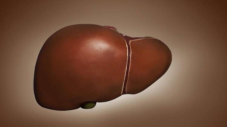 اكتشاف وسيلة تكبح تطور سرطان الكبد