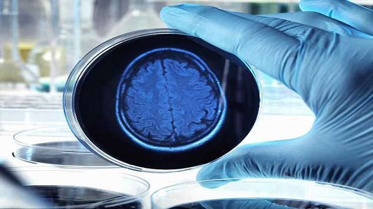 تقنية مبتكرة قد "تكشف أسرار ذكريات" الضحايا بعد وفاتهم!