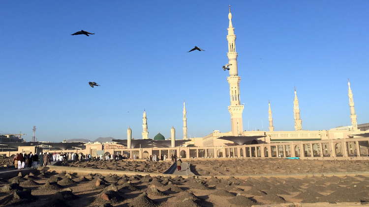 فضيحة فساد تطال قادة شركة الكهرباء السعودية في المدينة المنورة 